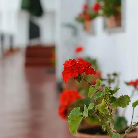 Hotel La Terraza